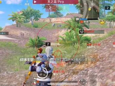 和平精英辅助低价发卡网 - 自动发货安全靠谱